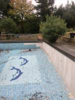 PISCINE AVANT RENOVATION